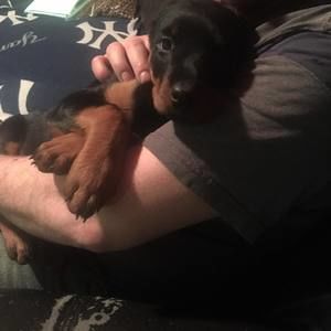 Meet your Posher, John